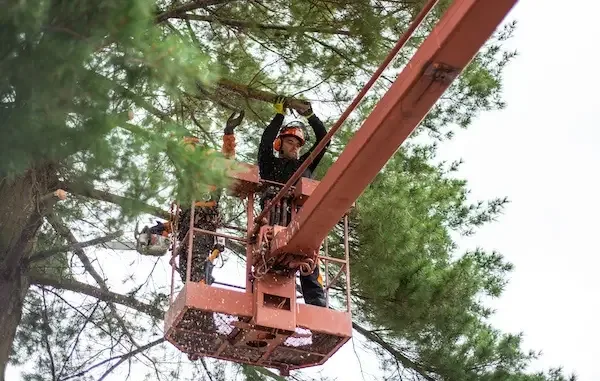 Emergency & Storm Work